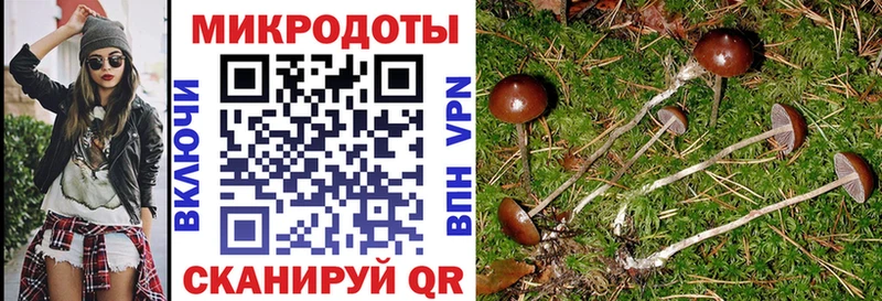 Галлюциногенные грибы Psilocybe  Купить  Нижние Серги 